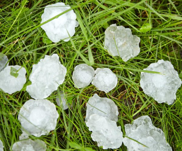 Hail or storm damage